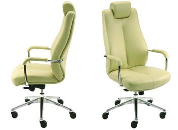 Мебель для руководителя в Киеве.