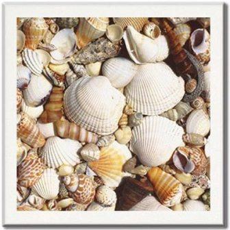 столешница werzalit td 14 - 101