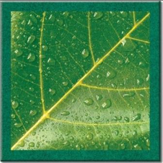 столешница верзалит td06-353