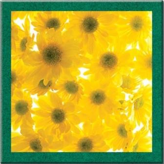 столешница верзалит арт.td07-353