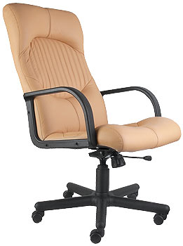 КОЖАНОЕ КРЕСЛО, РУКОВОДИТЕЛЯ Киев